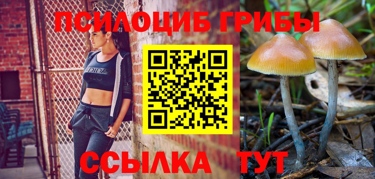 Галлюциногенные грибы Magic Shrooms  Вход с VPN  Кировск 