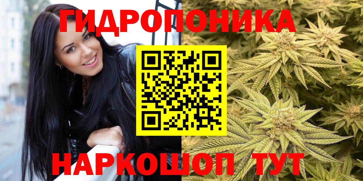 Марихуана гибрид  Бошки Шишки планчик  Вход с VPN  Кировск 